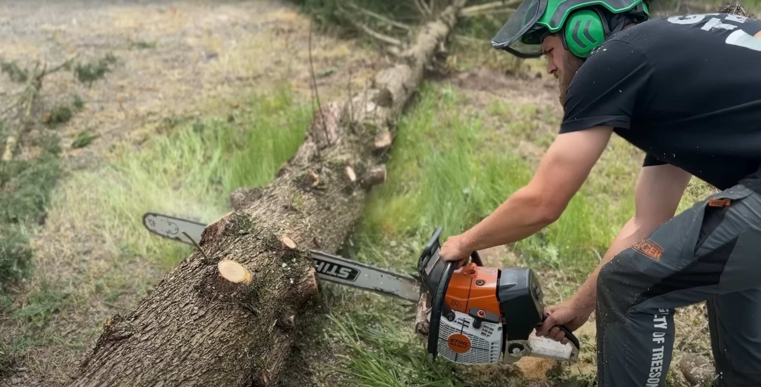 Stump grinding and removal service using professional chainsaw equipment