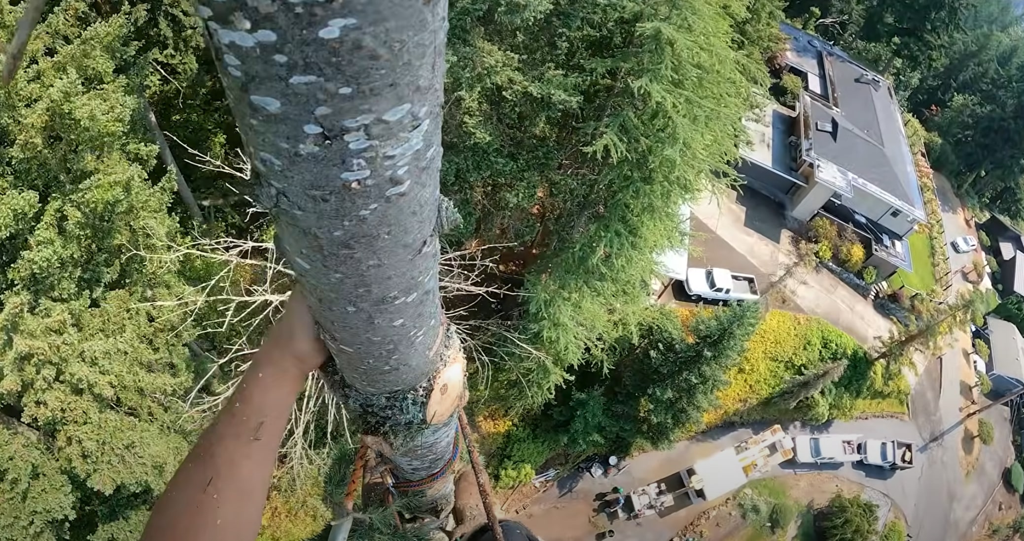 Emergency tree service with crane-assisted removal in Lompoc, CA