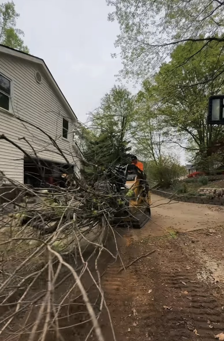 Emergency tree removal service in Lompoc, CA with professional equipment