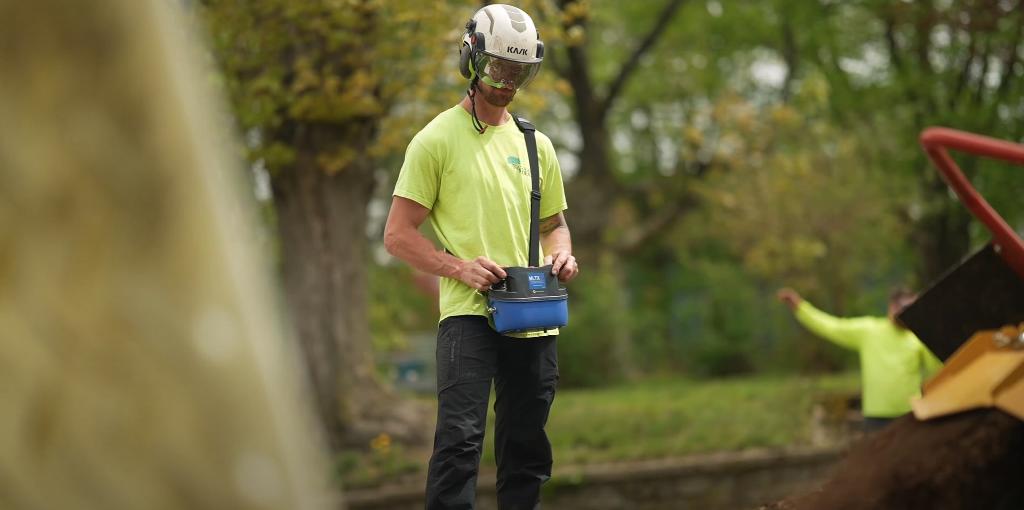 Certified arborist providing tree health assessment and maintenance